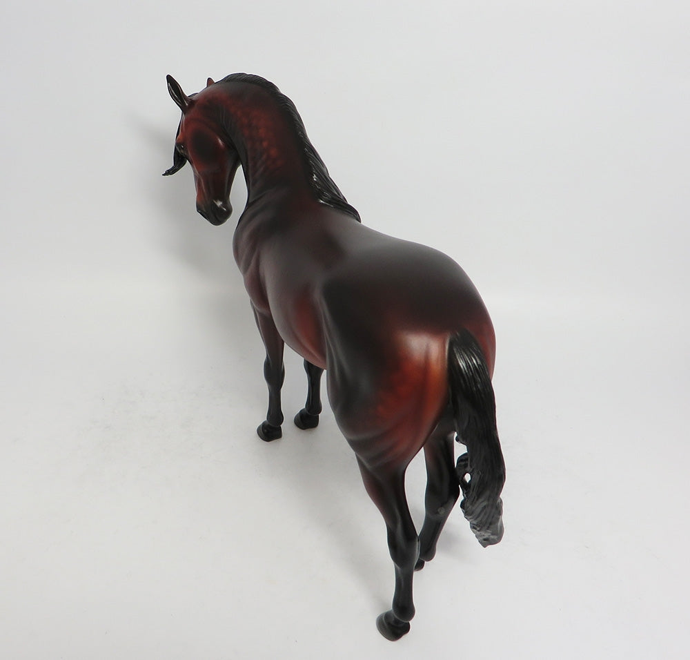 FLYNN-OOAK STAR DAPPLE BAY ANDALUSIAN BY SHERYL LEISURE 3/23/18