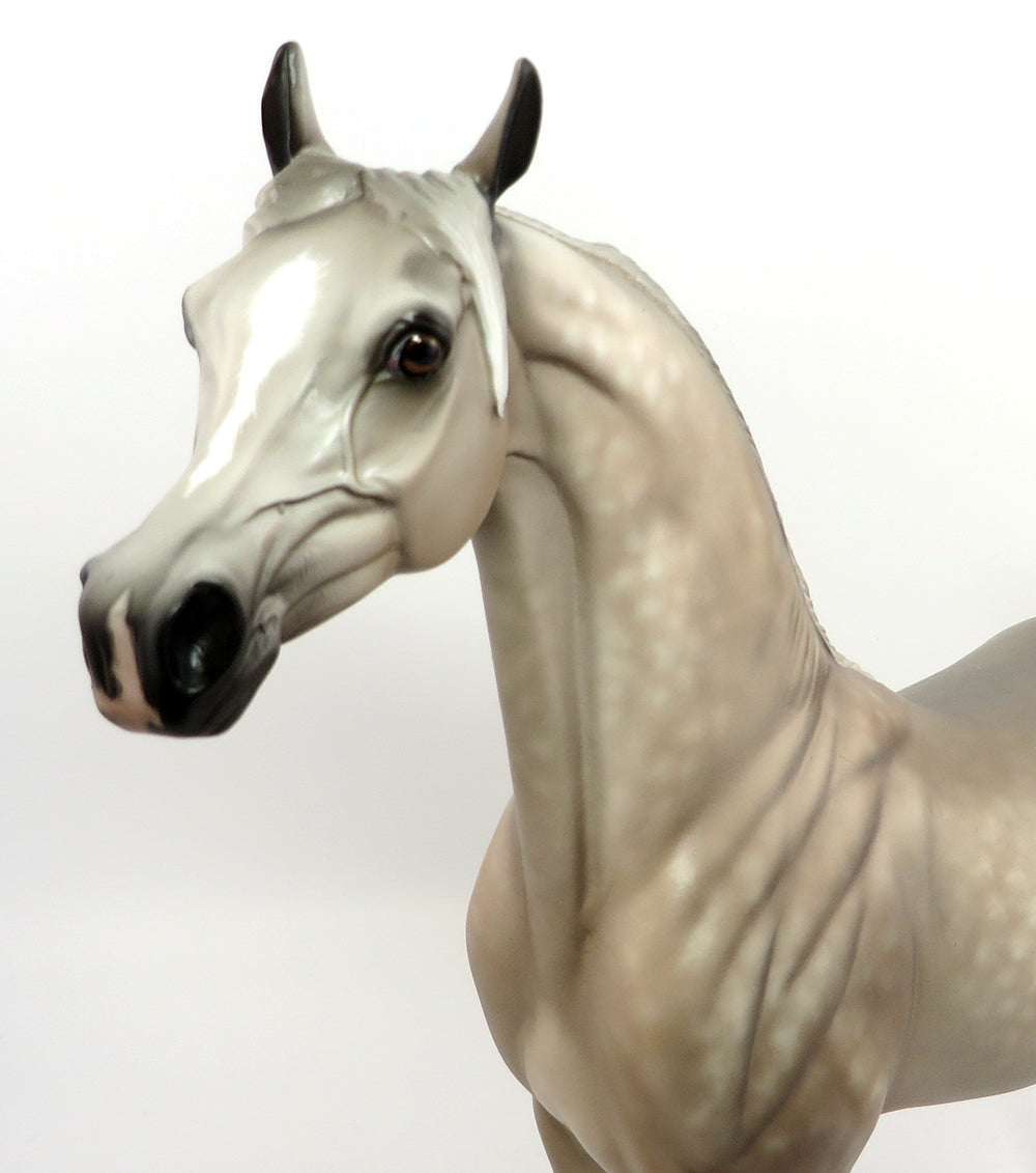 Etched Star &amp; Strip