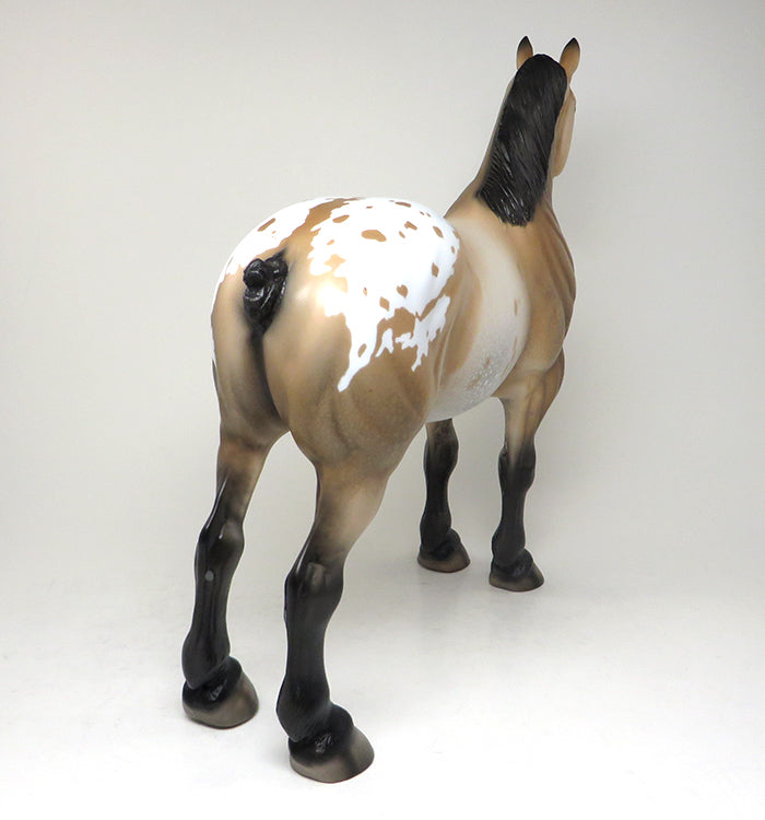 Appaloosa