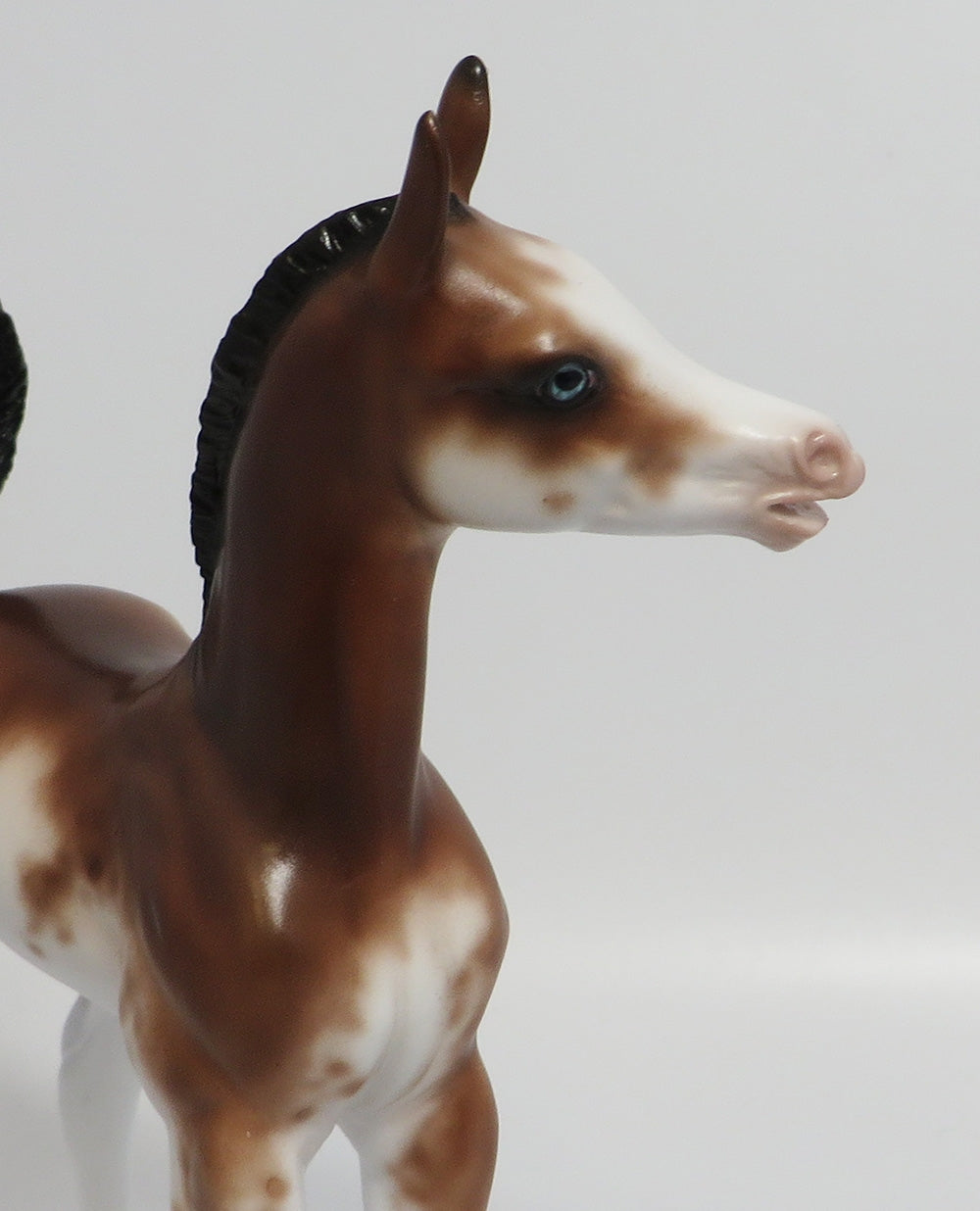 SWANSON-OOAK BAY SABINO ARABIAN FOAL MODEL HORSE WITH A TURNED HEAD &amp; COCKED LEG BY SHERYL LEISURE 03/23/18