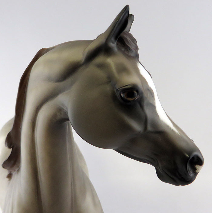 SOME KIND OF WONDERFUL-OOAK DAPPLED ROSE GREY ARABIAN MARE MODEL HORSE BY SHERYL LEISURE 9/28