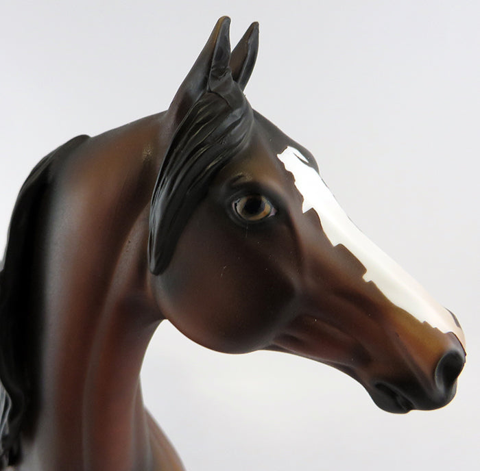 SHARP DRESSED MAN-OOAK DAPPLED BAY MORGAN MODEL HORSE BY DAWN QUICK 9/28
