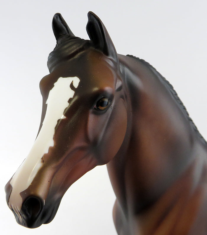 SHARP DRESSED MAN-OOAK DAPPLED BAY MORGAN MODEL HORSE BY DAWN QUICK 9/28