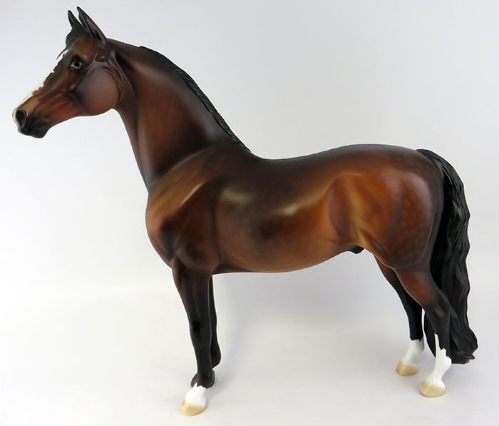 Morgan Horse