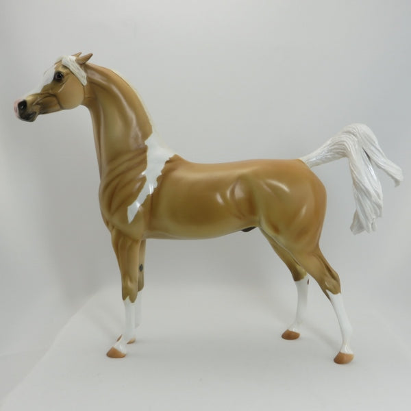 GOLDEN BOY - OOAK Custom Palomino Pinned Ear Arabian - 5/22