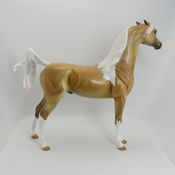 GOLDEN BOY - OOAK Custom Palomino Pinned Ear Arabian - 5/22