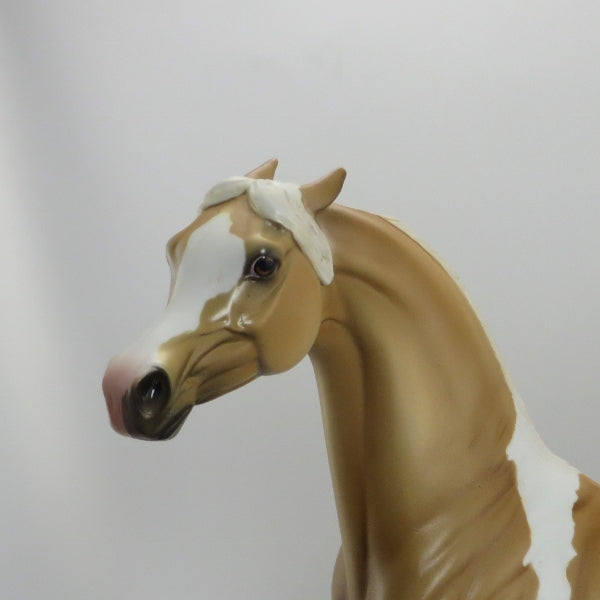 GOLDEN BOY - OOAK Custom Palomino Pinned Ear Arabian - 5/22