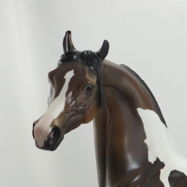 MIDNIGHT TRUFFLE - Bay Pinto Arabian Model Horse - LE4 - 5/15