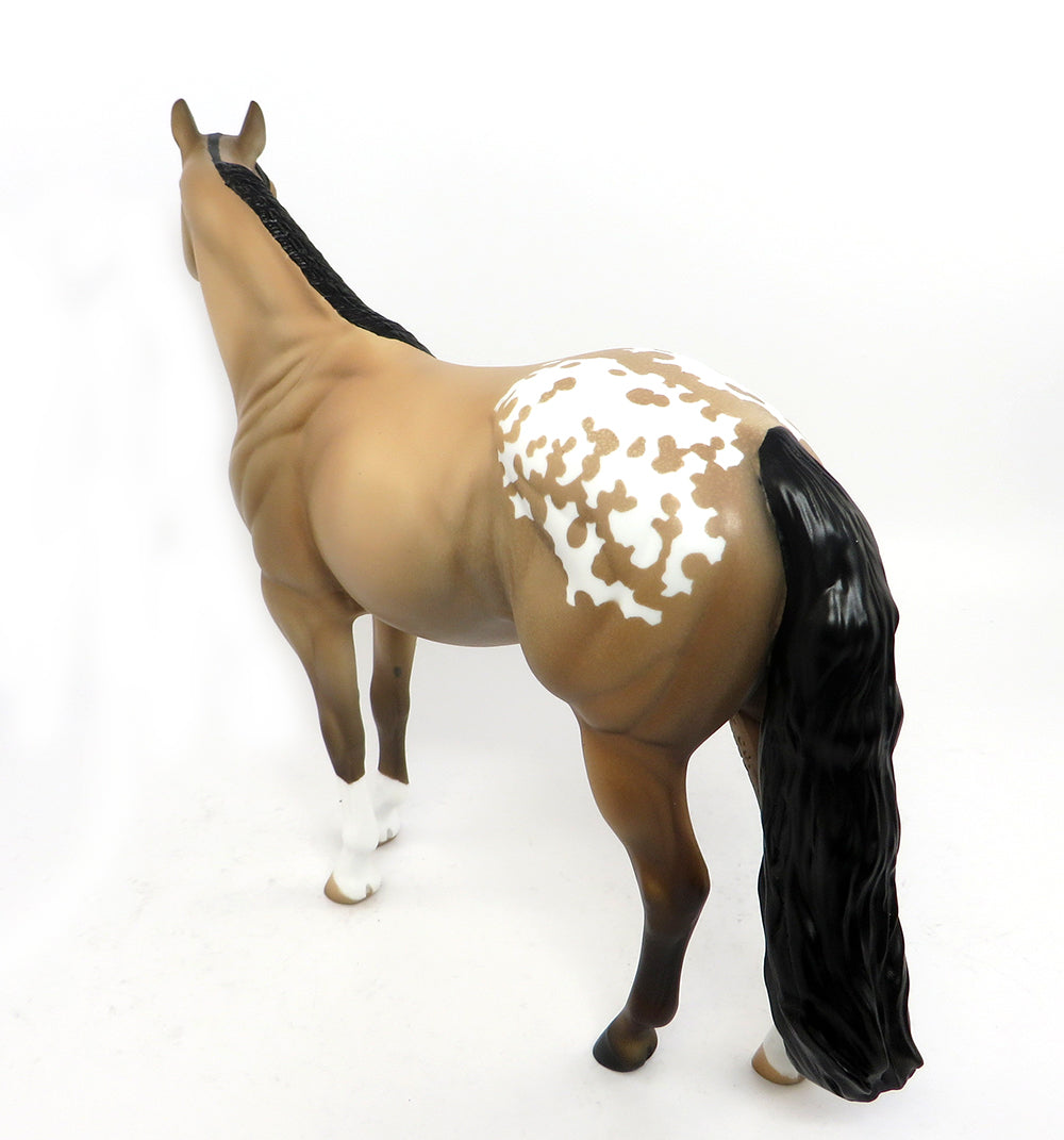 Appaloosa