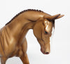 appaloosa