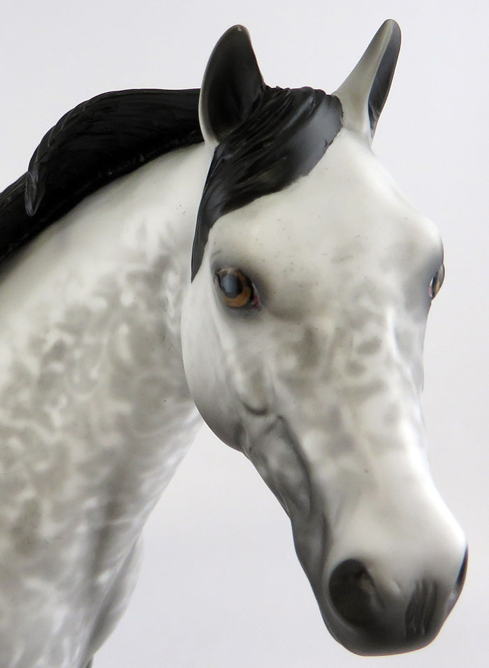 SIMMONS-OOAK GREY W/ BLACK POINTS ISH MODEL HORSE BY ALLEN KATT 9/29