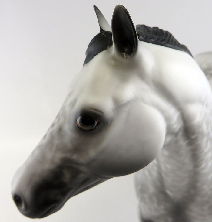 SIMMONS-OOAK GREY W/ BLACK POINTS ISH MODEL HORSE BY ALLEN KATT 9/29