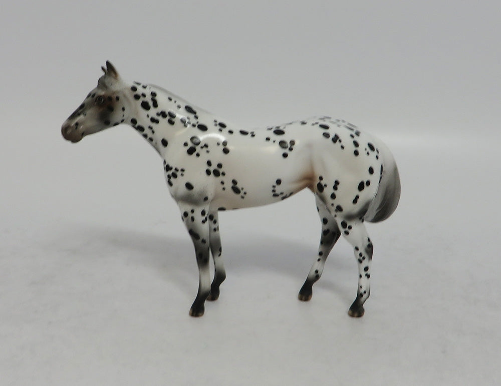NOLAN'S FOOL - OOAK LEOPARD APPALOOSA STOCK CHIP BY ANDREA EA2018