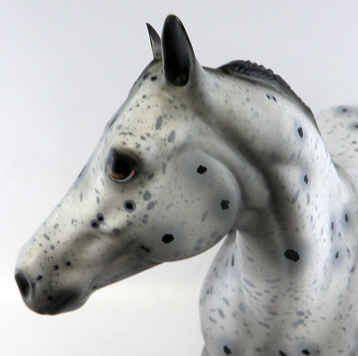 POLISHED ROCK-OOAK BLACK APPALOOSA ISH MODEL HORSE BY ALLEN KATT 9/29