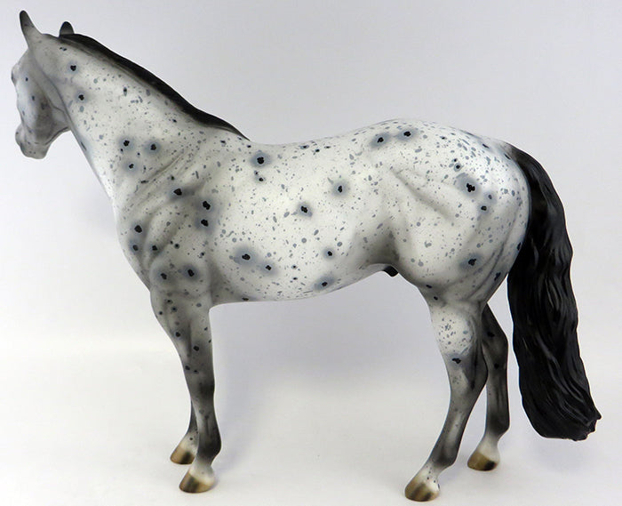 Appaloosa