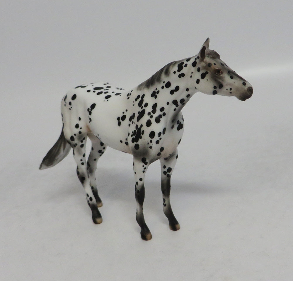 NOLAN&#39;S FOOL - OOAK LEOPARD APPALOOSA STOCK CHIP BY ANDREA EA2018