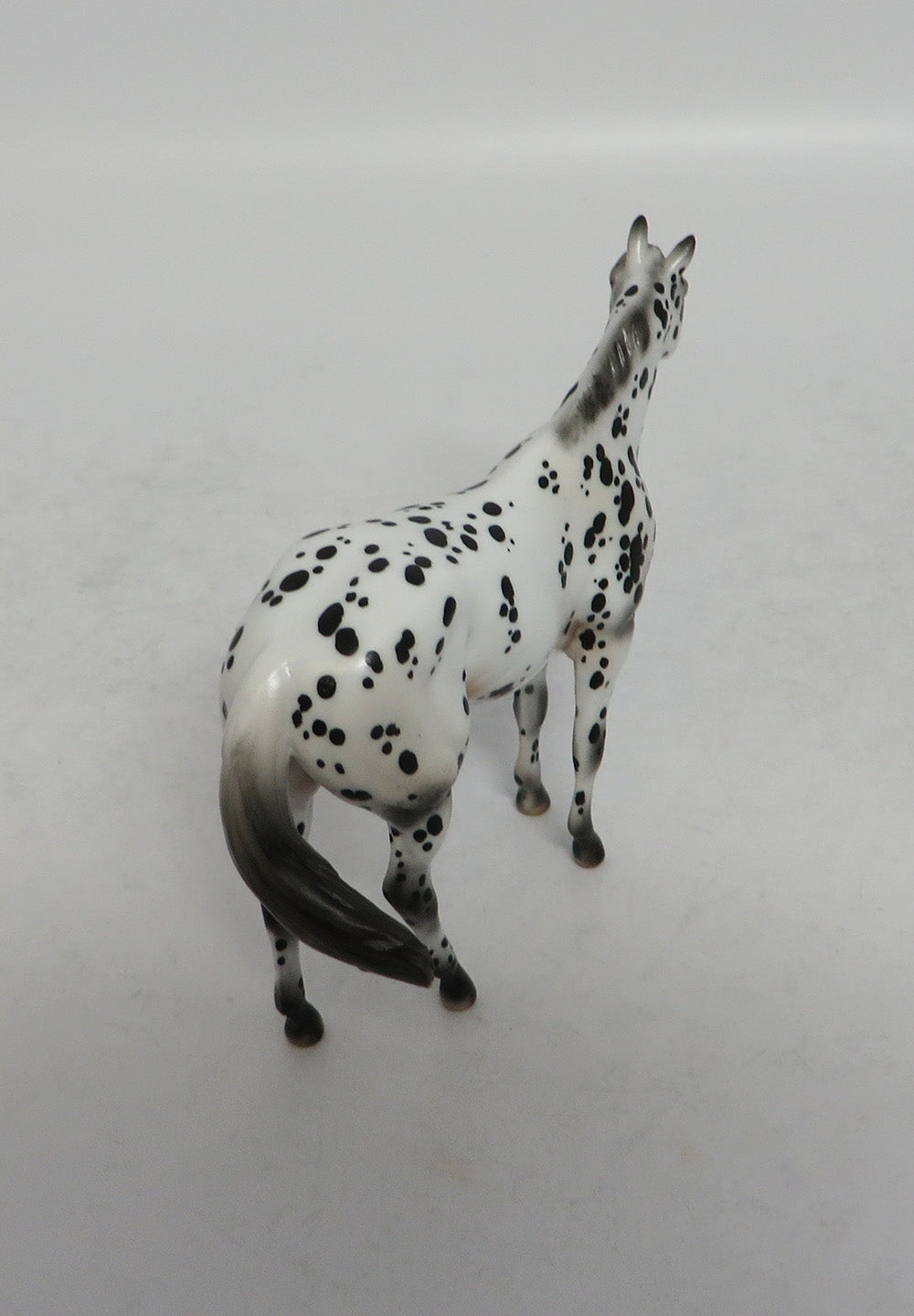 NOLAN&#39;S FOOL - OOAK LEOPARD APPALOOSA STOCK CHIP BY ANDREA EA2018