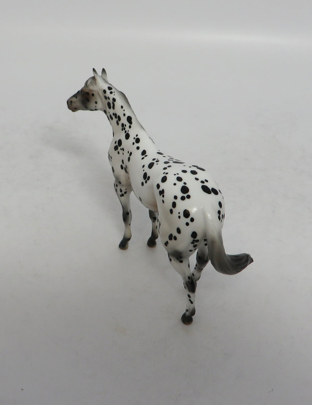 NOLAN&#39;S FOOL - OOAK LEOPARD APPALOOSA STOCK CHIP BY ANDREA EA2018