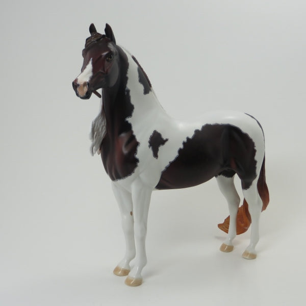 LANCASTRIAN - OOAK Liver Chestnut Pinto Morgan 5/15