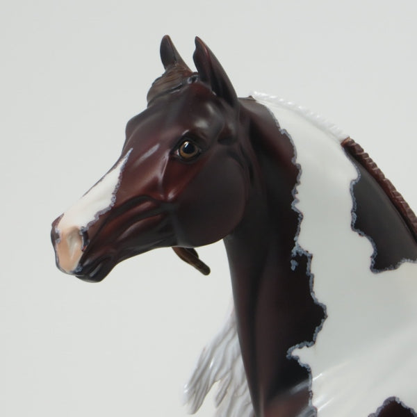 LANCASTRIAN - OOAK Liver Chestnut Pinto Morgan 5/15