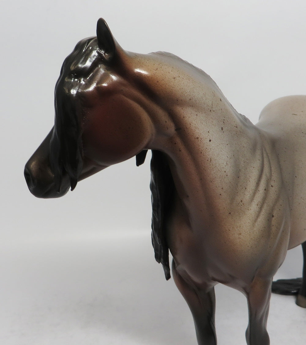 SOUND OF SILENCE-OOAK BAY ROAN ISH BY DAWN QUICK 3/29/2018