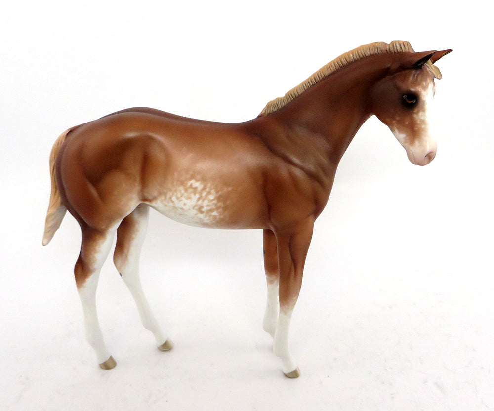 I'm the Sweetest Asset