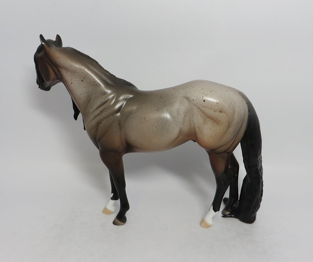 SOUND OF SILENCE-OOAK BAY ROAN ISH BY DAWN QUICK 3/29/2018