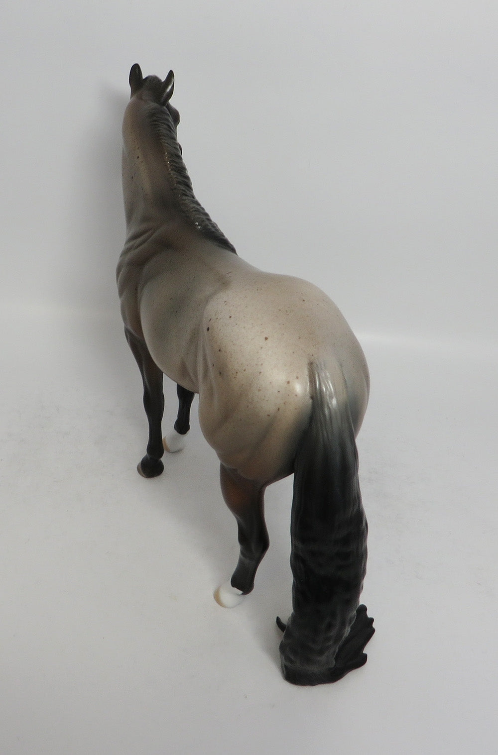 SOUND OF SILENCE-OOAK BAY ROAN ISH BY DAWN QUICK 3/29/2018