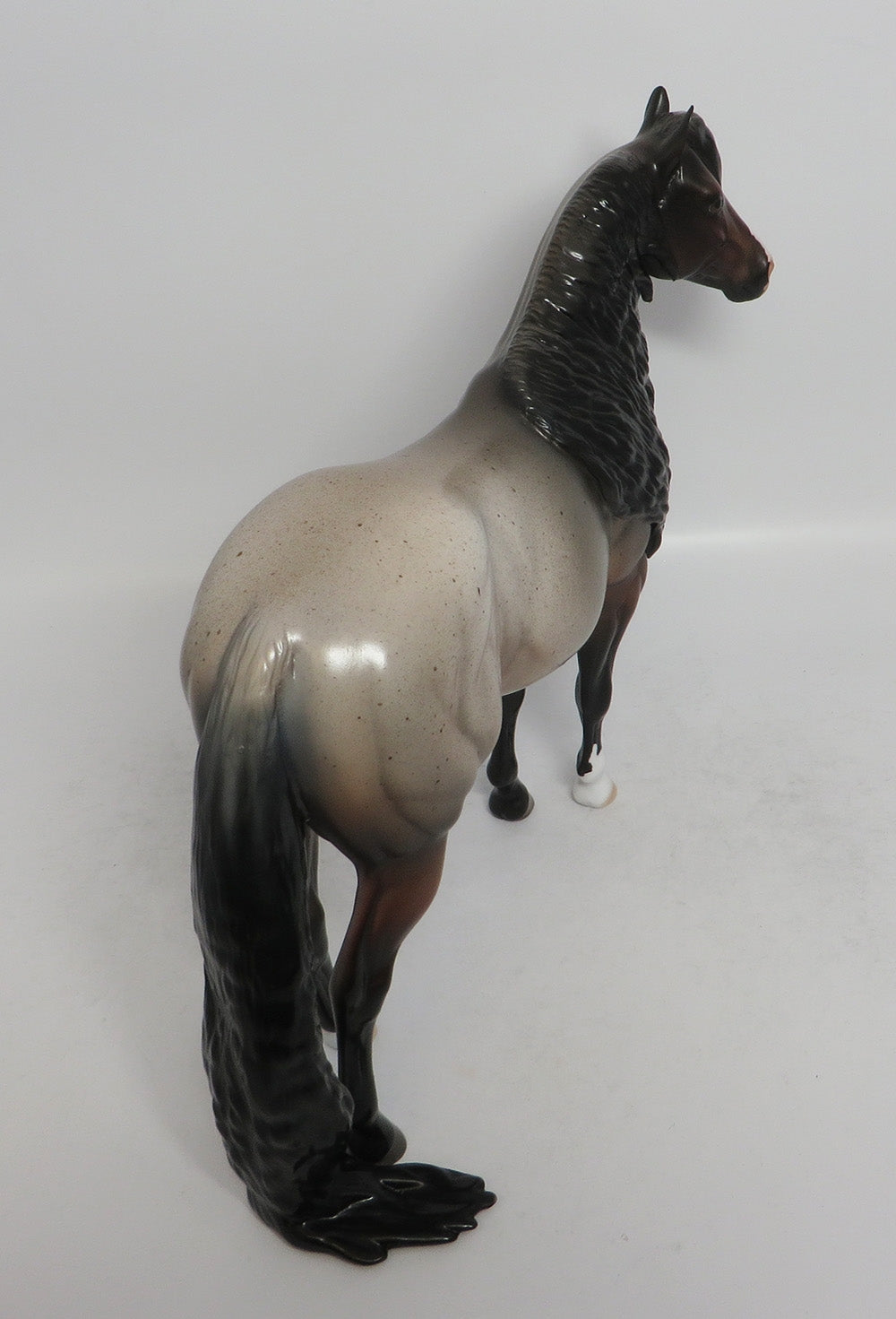 SOUND OF SILENCE-OOAK BAY ROAN ISH BY DAWN QUICK 3/29/2018