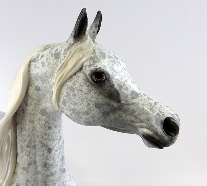 BLUE STREAK-OOAK FLEA BIT GREY ARABIAN MODEL HORSE BY ALLEN KAT 9/29