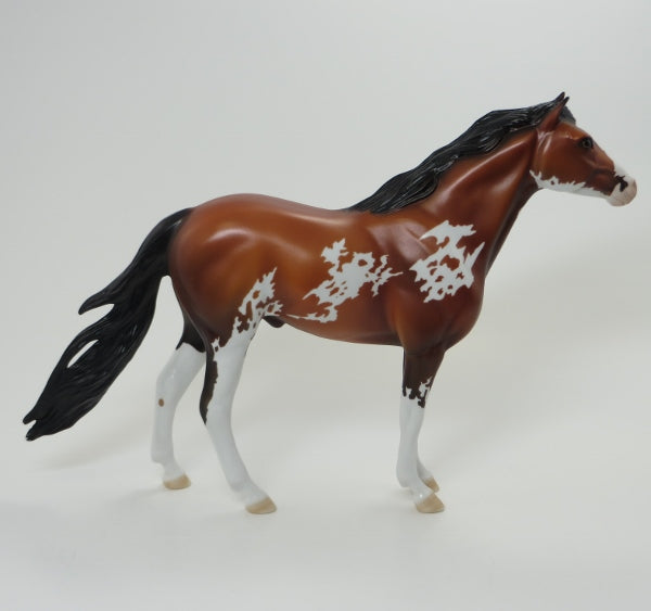 Bay Sabino Pinto Mustang