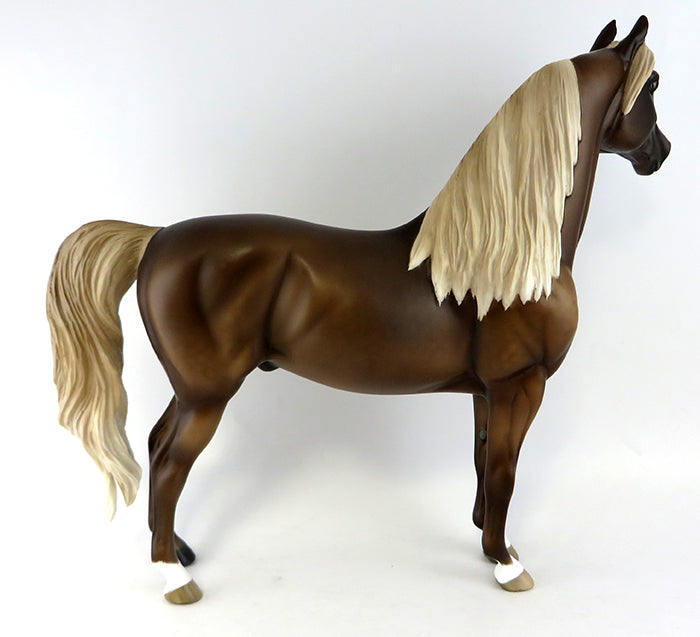Morgan Horse