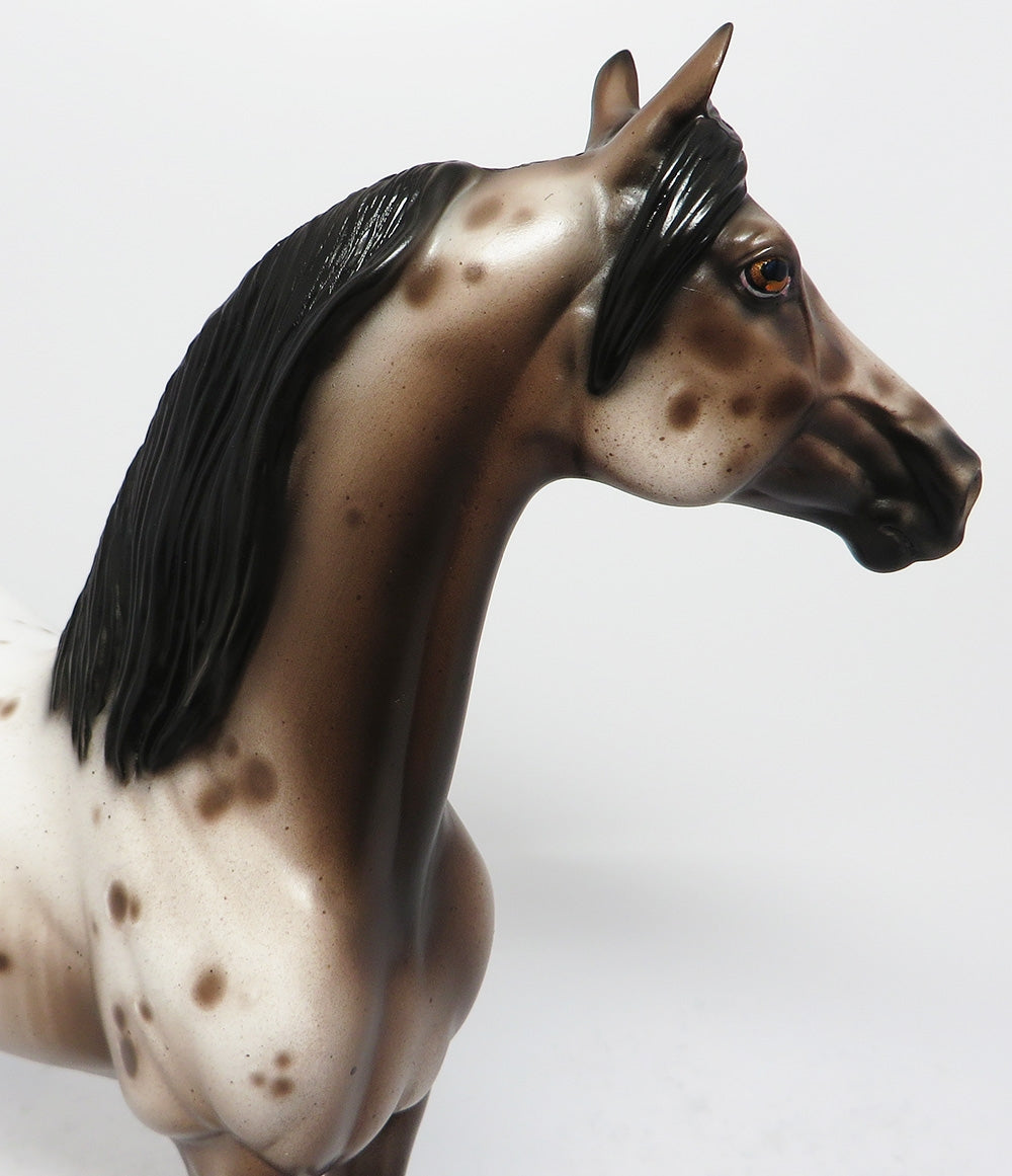 STETSON-OOAK BAY APPALOOSA MORGAN MODEL HORSE BY SHERYL LEISURE 8/22/17