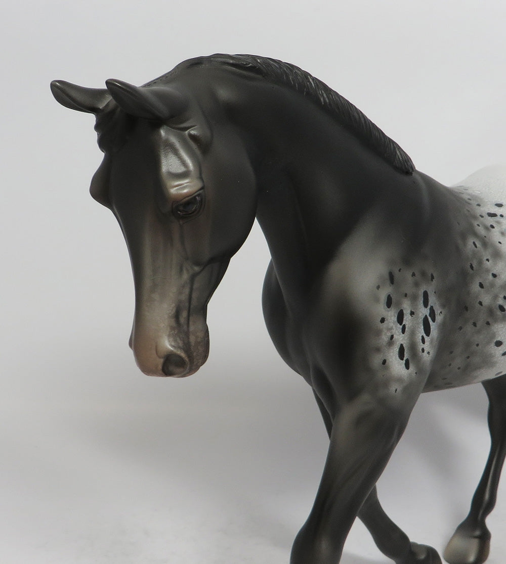 WILLOW-OOAK APPALOOSA PALOUSE BY DAWN QUICK 3/29/18