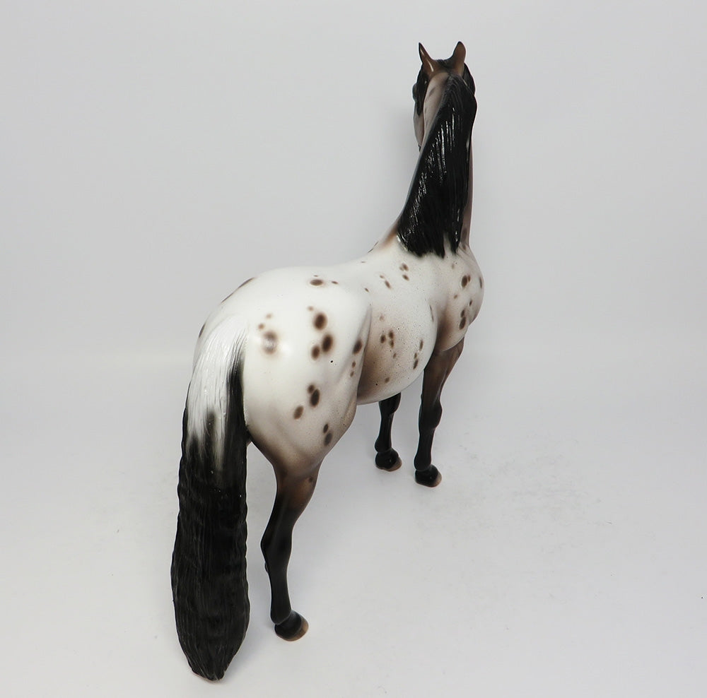 STETSON-OOAK BAY APPALOOSA MORGAN MODEL HORSE BY SHERYL LEISURE 8/22/17