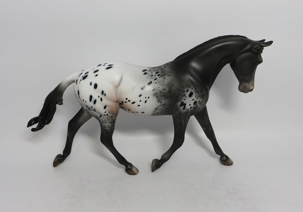 WILLOW-OOAK APPALOOSA PALOUSE BY DAWN QUICK 3/29/18