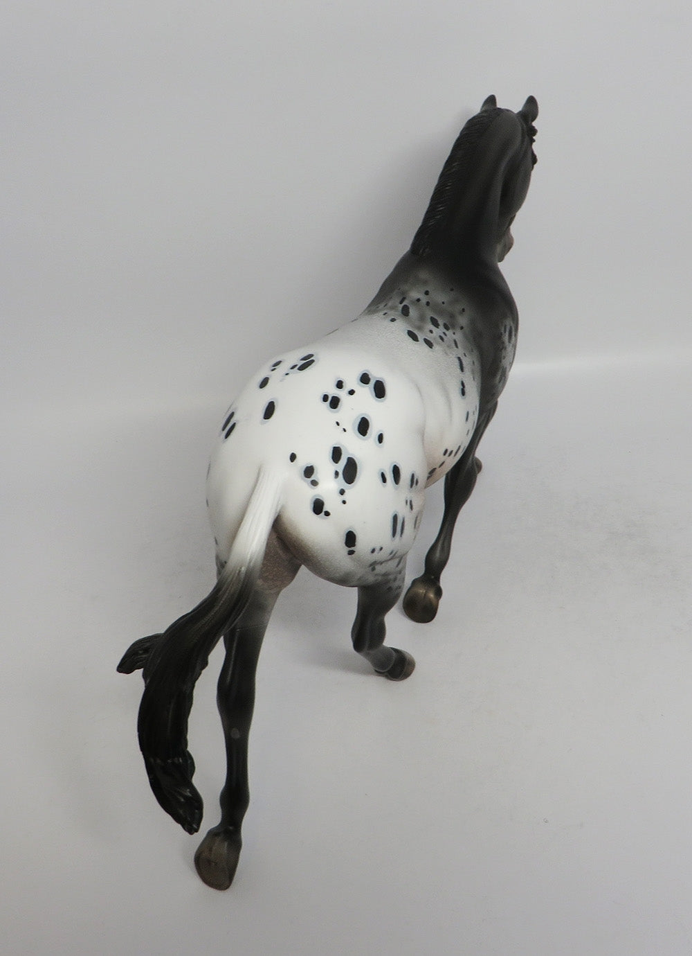 WILLOW-OOAK APPALOOSA PALOUSE BY DAWN QUICK 3/29/18