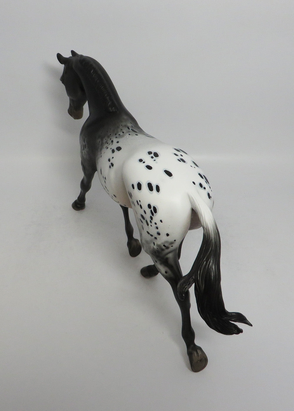 WILLOW-OOAK APPALOOSA PALOUSE BY DAWN QUICK 3/29/18