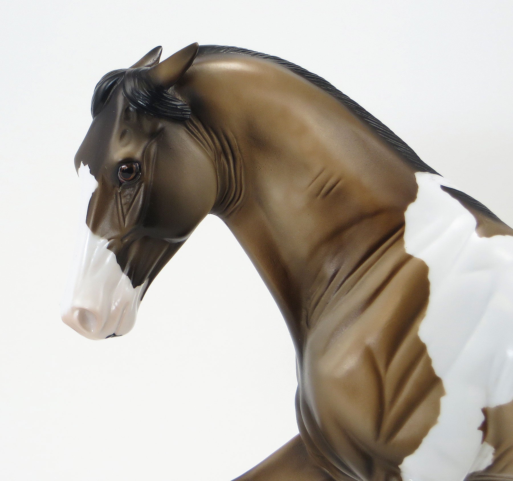 JUMANJI - OOAK Sooty Buckskin Pinto Tennessee Walker Model Horse - 6/19