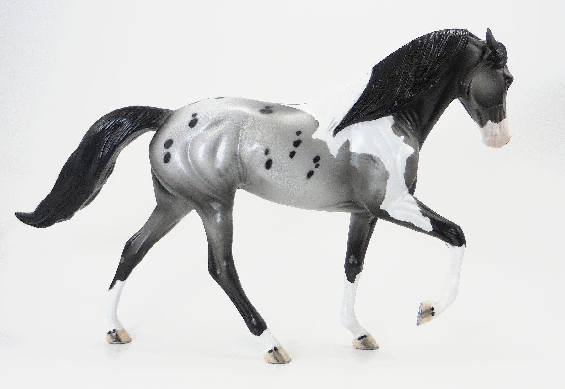 DON&#39;T LET THE PIGEONS DRIVE THE BUS - OOAK Grey Pintaloosa Tennessee Walker - 6/19