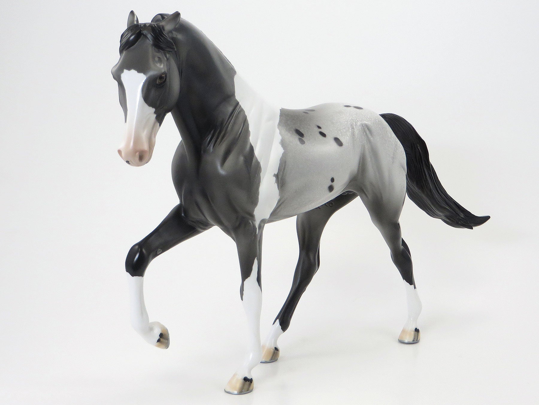 DON&#39;T LET THE PIGEONS DRIVE THE BUS - OOAK Grey Pintaloosa Tennessee Walker - 6/19