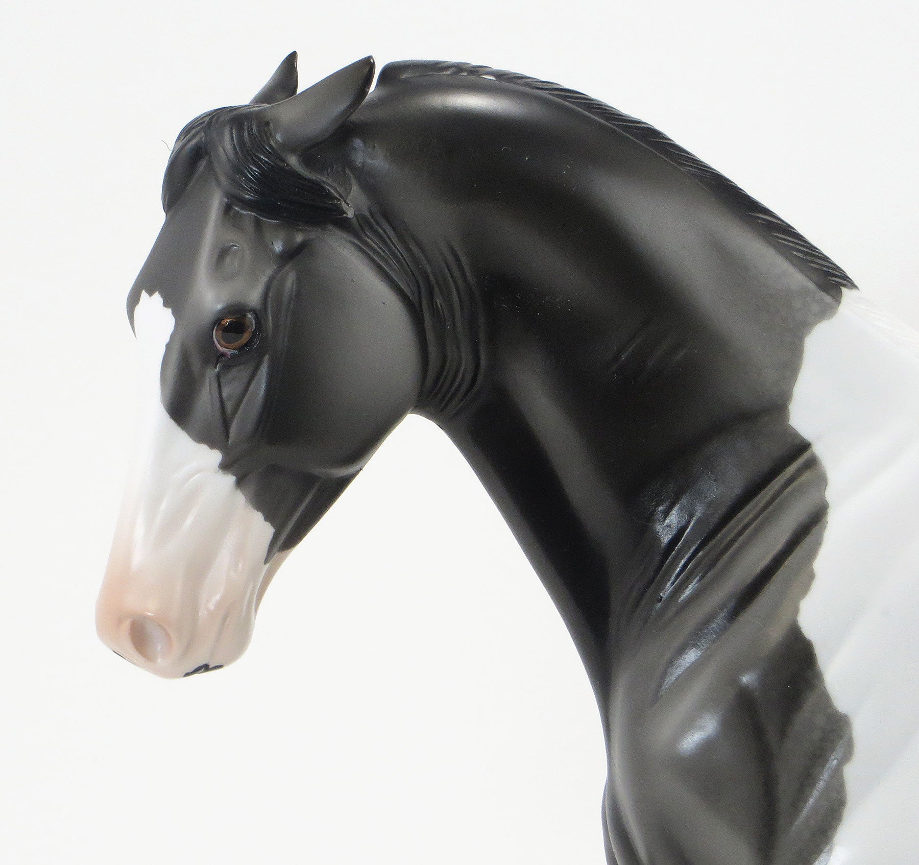 DON&#39;T LET THE PIGEONS DRIVE THE BUS - OOAK Grey Pintaloosa Tennessee Walker - 6/19