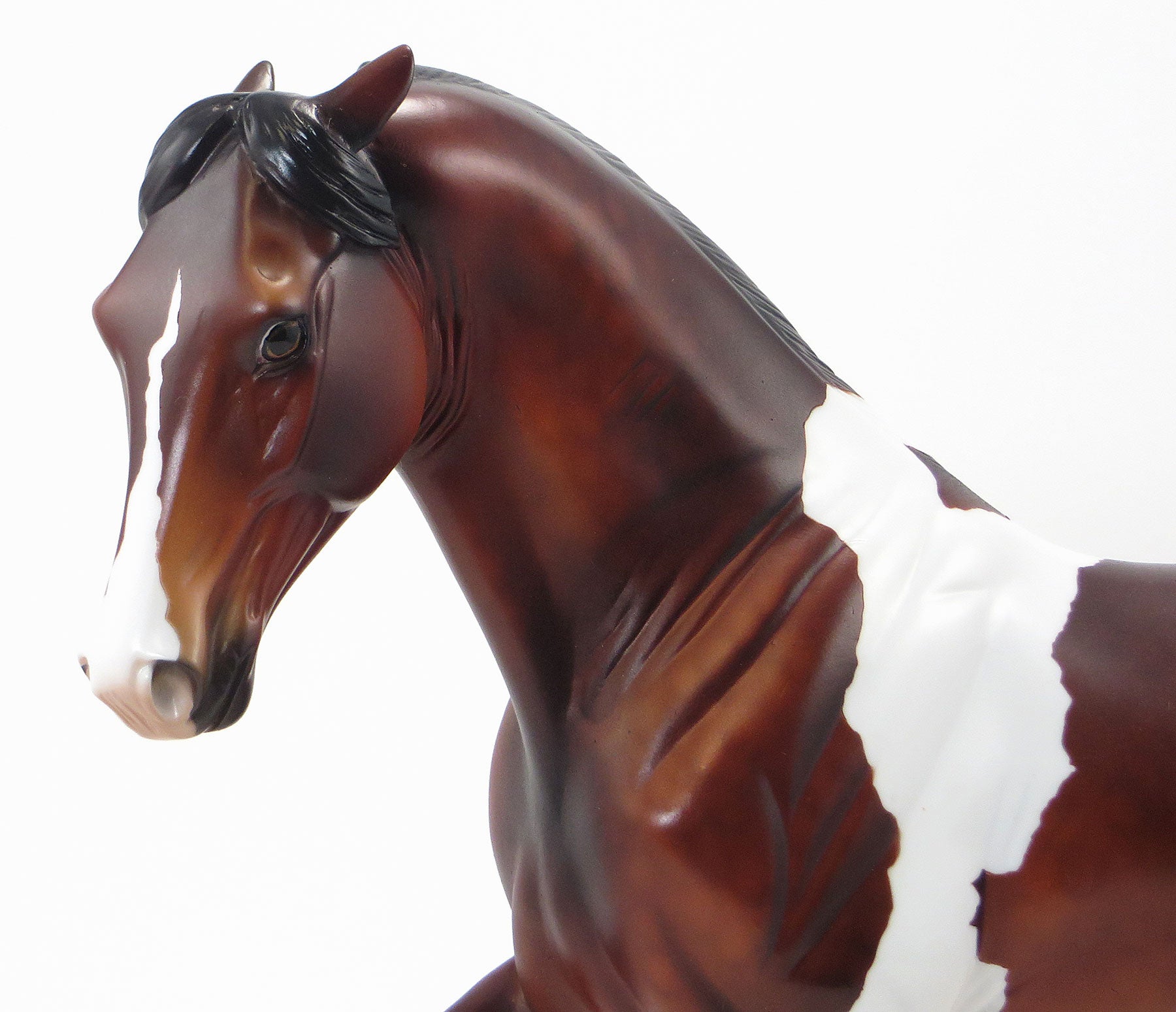 CHICKA CHICKA BOOM BOOM - OOAK Bay Pinto Tennessee Walker - 6/19