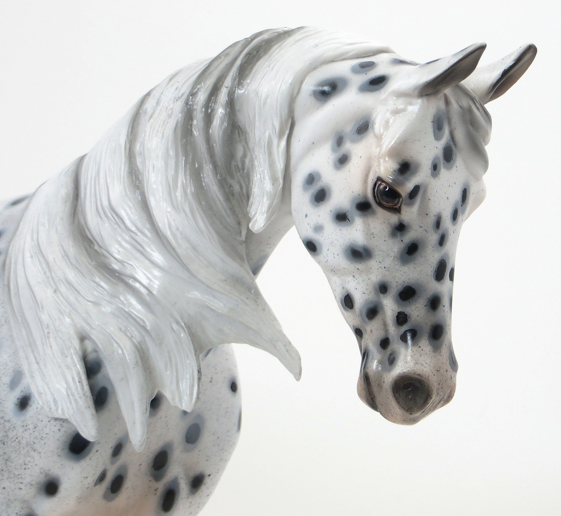 MADELINE - OOAK Leopard Appaloosa Thoroughbred 6/19