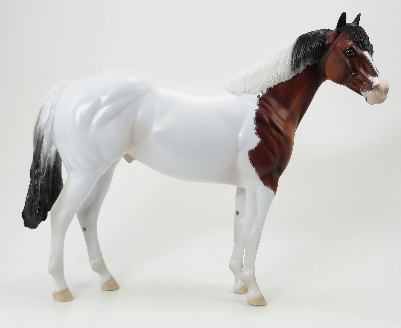MISS NELSON IS MISSING - OOAK Bay Paint Stock Model Horse - 6/15