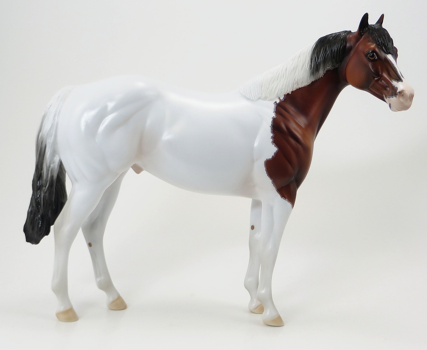 MISS NELSON IS MISSING - OOAK Bay Paint Stock Model Horse - 6/15