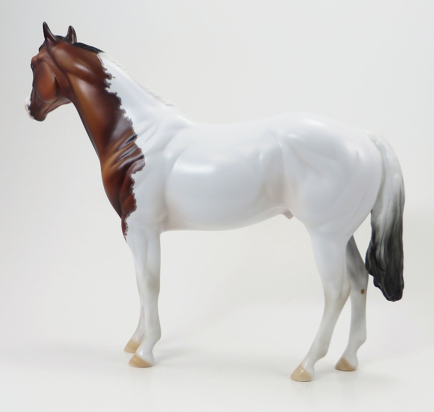 MISS NELSON IS MISSING - OOAK Bay Paint Stock Model Horse - 6/15