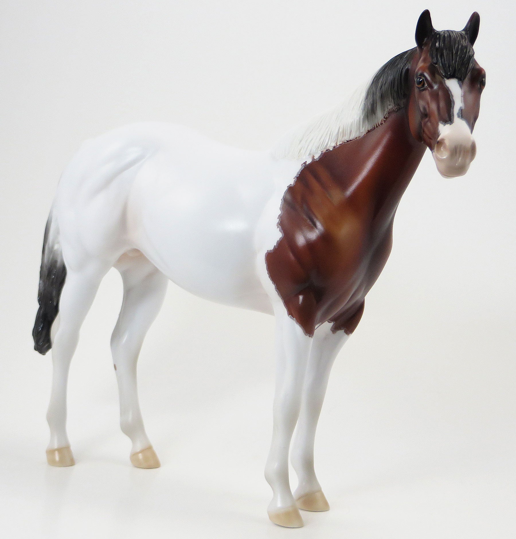 MISS NELSON IS MISSING - OOAK Bay Paint Stock Model Horse - 6/15