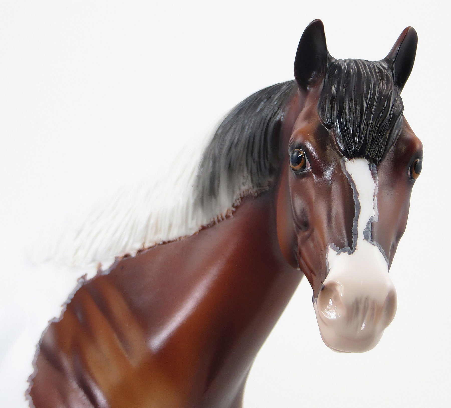 MISS NELSON IS MISSING - OOAK Bay Paint Stock Model Horse - 6/15