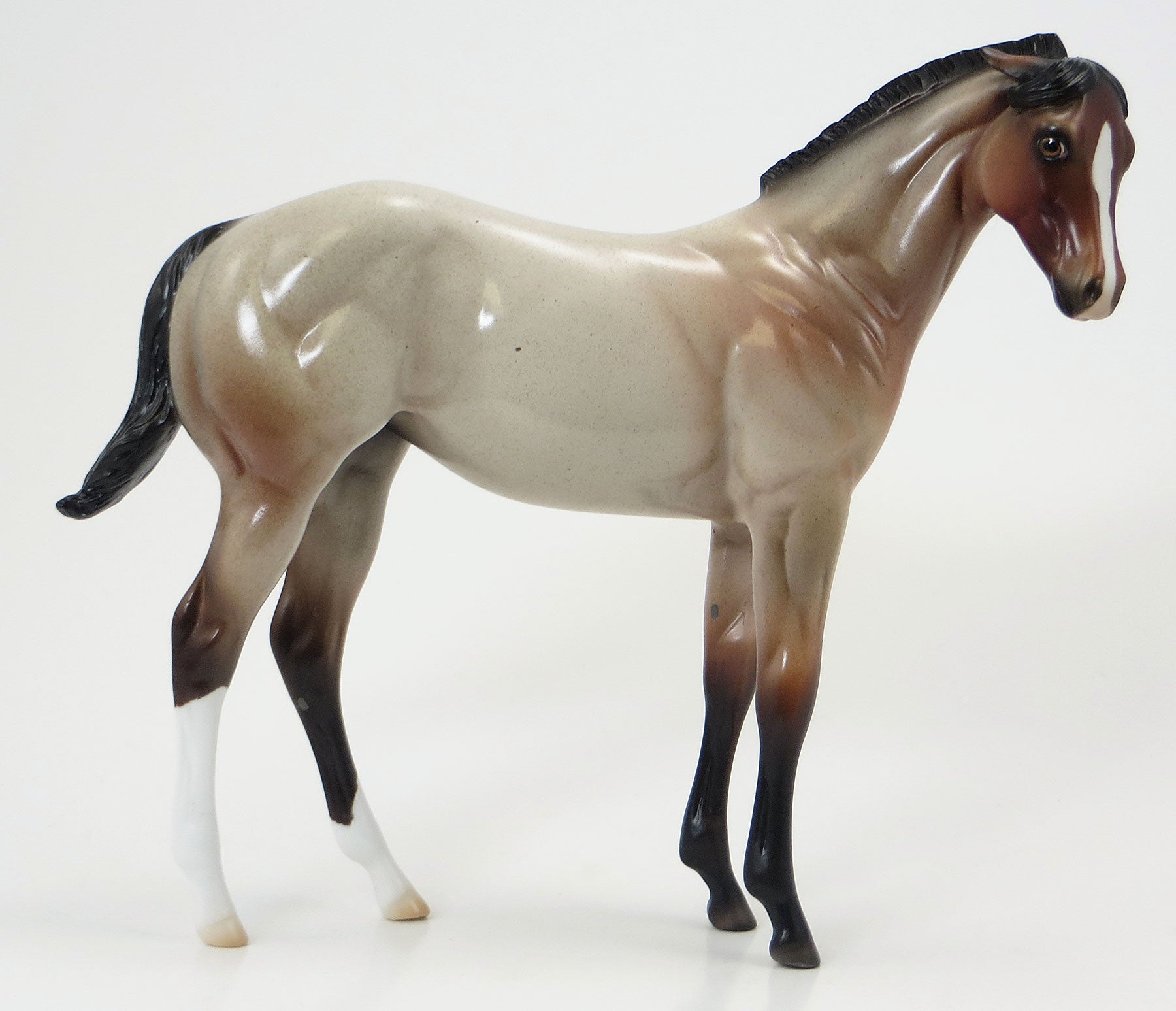 THE VERY HUNGRY CATERPILLAR - OOAK Bay Roan Weanling Model Horse - 6/19